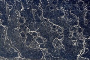 Dustscapes